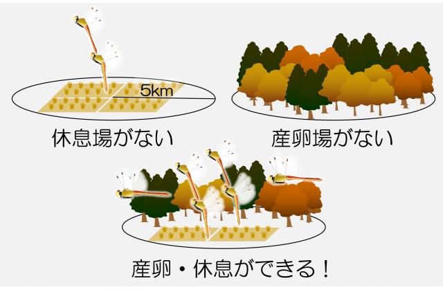 生息環境(上段左から休息場がない、右:産卵場がない、下段産卵・休息ができる)を示した図