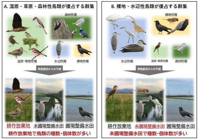 左：A.湿原・草原・森林性鳥類が優占する群衆、右B.裸地・水辺性鳥類が優占する群衆を示した図