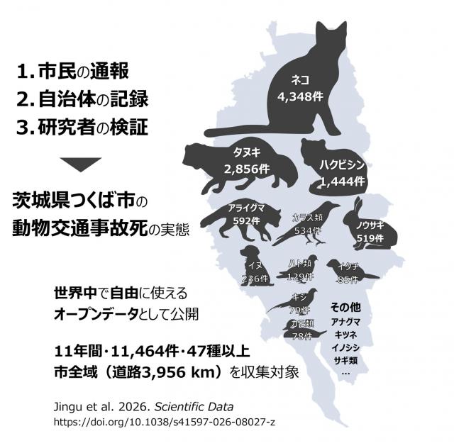 概要図