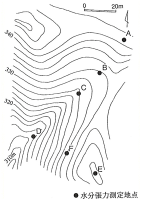 p2 fig1