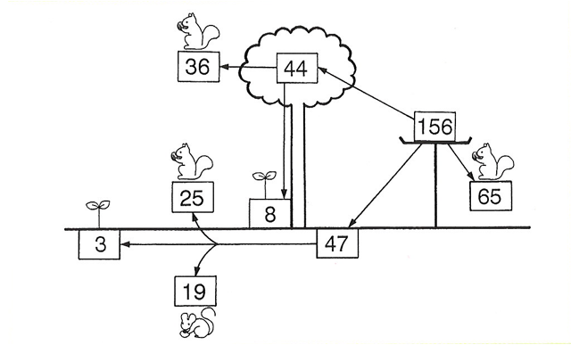 p4 fig2