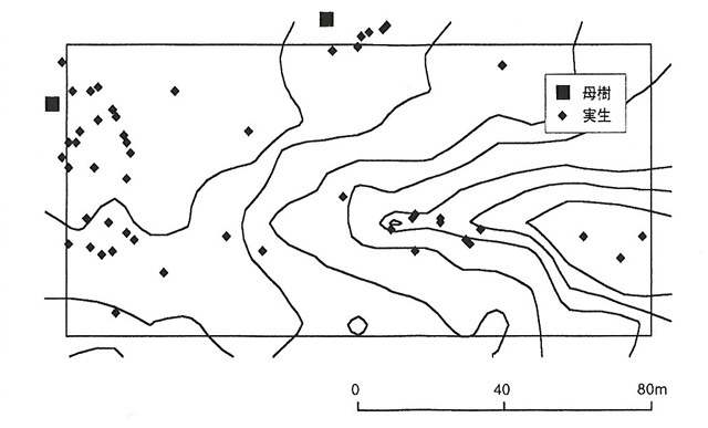 p4 fig3