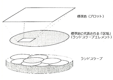 p22 fig1