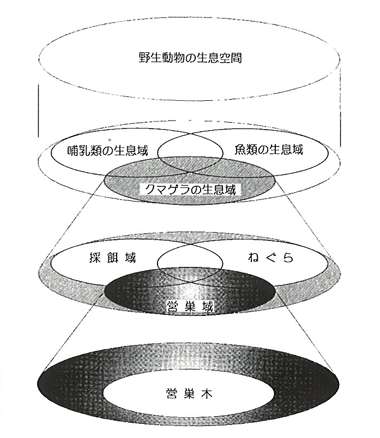 p22 fig2