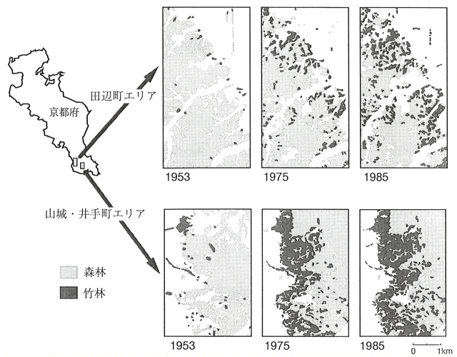p36 fig1