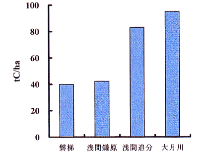 p5 fig1