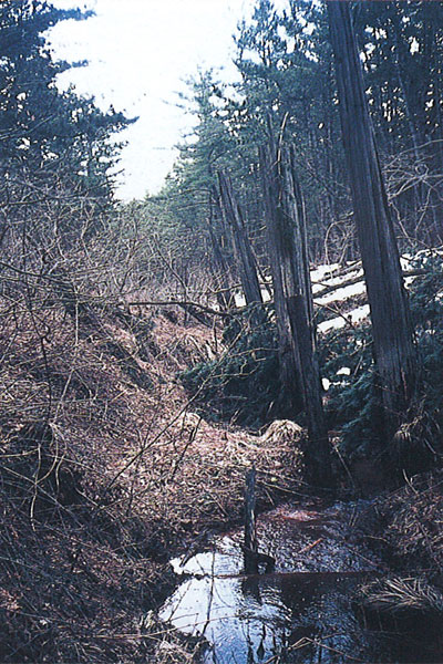 p27 photo1