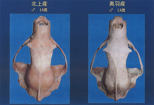 p29 photo1
