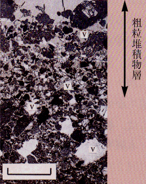 p37 photo6