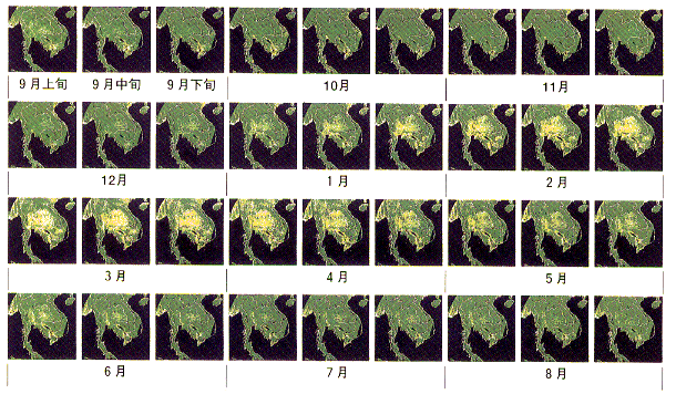 p41 fig3