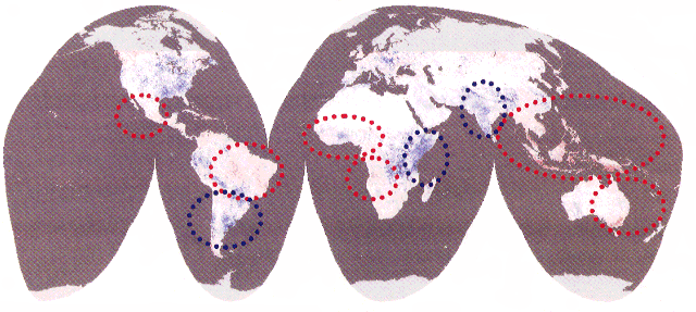 p41 fig4