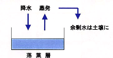 p11 fig1