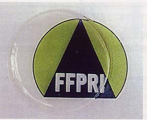 p31 fig1