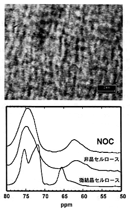 p31 fig3
