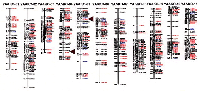 p37 fig1
