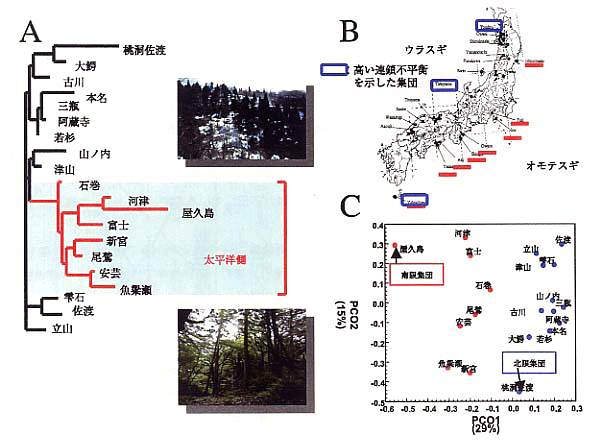 p37 fig2