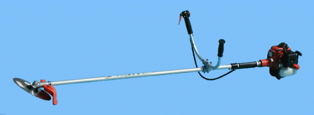 p14 fig1
