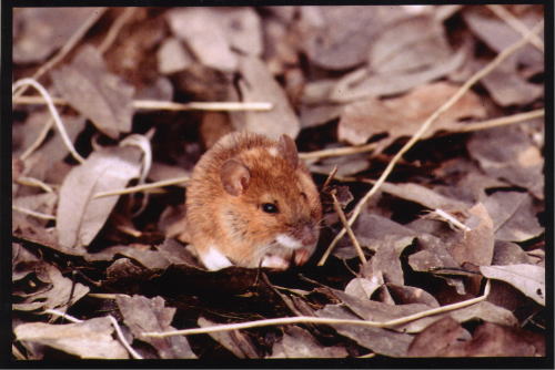 p16 photo1