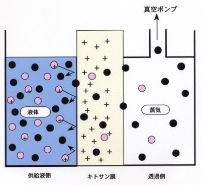 p20 fig4