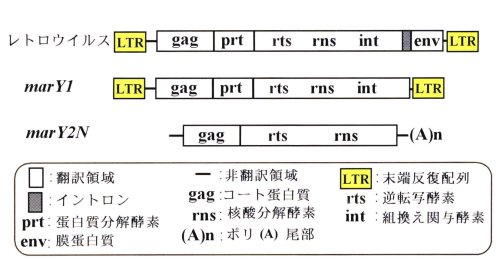 p26 fig2