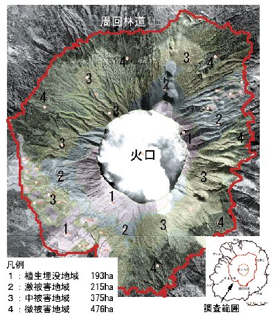 p4 fig1