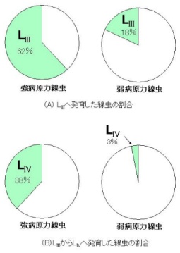 p8 fig3