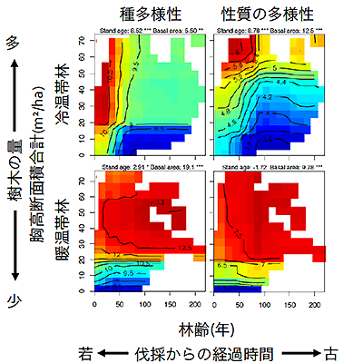 伐採からの経過時間と樹木の胸高断面積に基づく樹木の種多様性と性質の多様性を示すグラフ