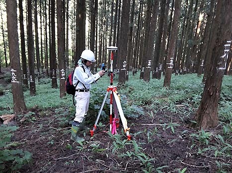 人工林のなかで、GPSを使って地理座標を計測している様子
