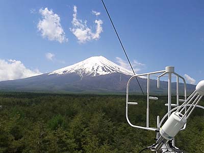 写真4：森林による二酸化炭素吸収量の変動を観測しています