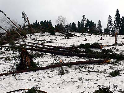 写真7：雪崩の発生や流下を調べる観測を行っています
