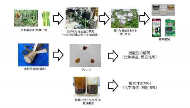 写真2：樹木抽出成分研究室の主な研究内容