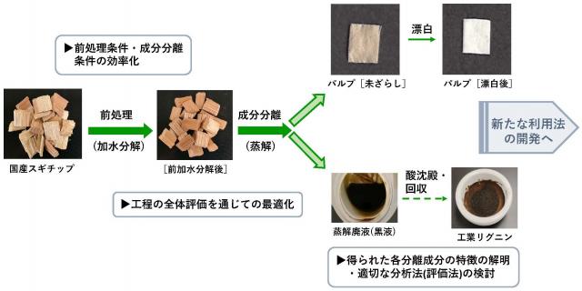 国産スギチップの成分分離プロセスの一例を示した概略図です。スギチップを前処理加水分解後、蒸解によってパルプと蒸解廃液(黒液)に分離します。パルプは漂白により白色化し、黒液からは酸沈殿・回収によって工業リグニンを得ます。前処理・成分分離条件の効率化、工程全体の最適化を図り、得られた分離成分を解析して、新たな利用法の開発を目指します。
