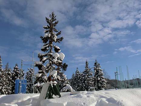 写真3：冠雪重量観測をしている様子