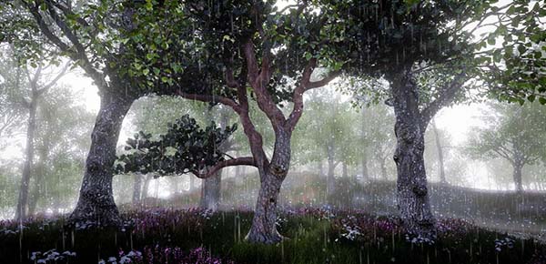 CGで再現した林内雨の風景