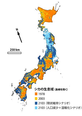 シカの生息域
