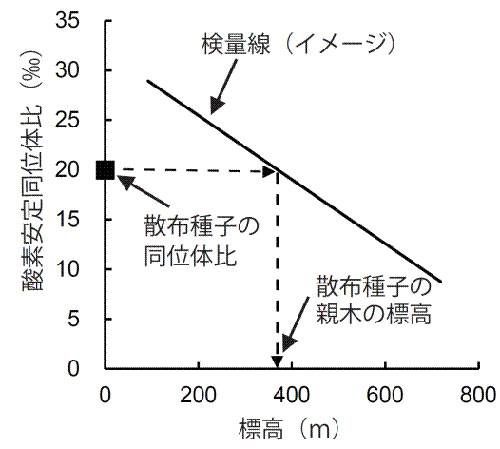 標高と種子の酸素安定同位体比との関係
