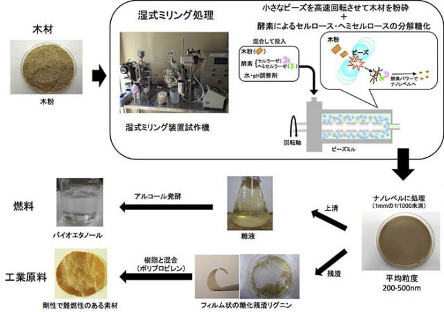 写真：薬品や高温を必要としない新しい木材の成分分離法を開発