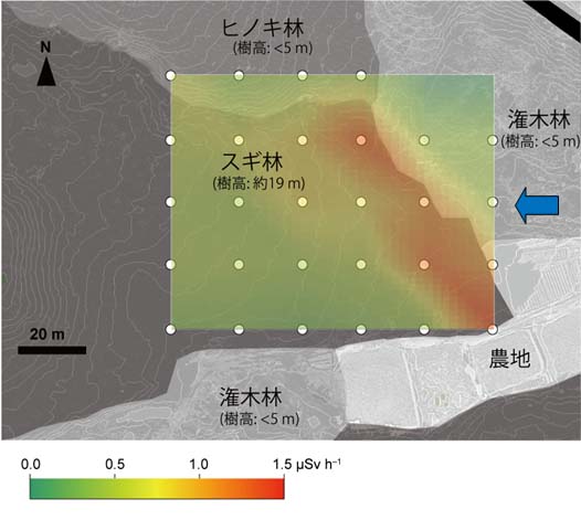 図：調査地内の空間線量率の分布