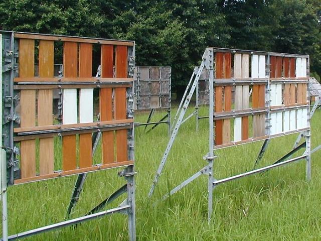 写真1 難 燃処理塗装木材の屋外暴露試験