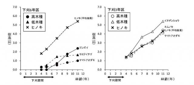 図：下刈り6年区と3年区での植栽ヒノキと侵入広葉樹の樹高成長の比較