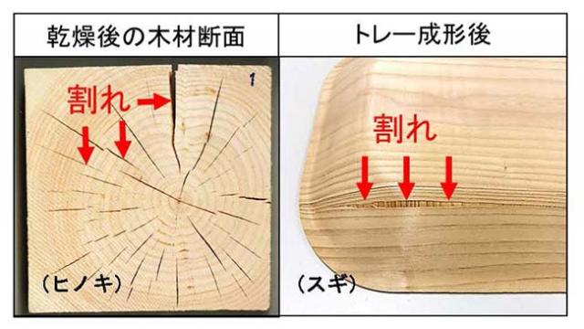 図1：横方向の引張応力に対して割れた木材の様子