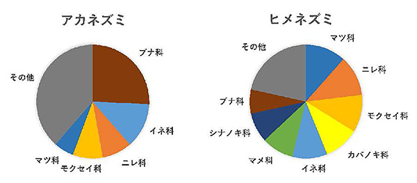 図1：アカネズミとヒメネズミの糞から検出された植物の構成の違い