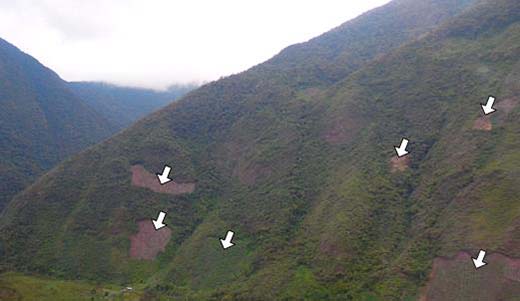 写真：アンデス山地での人間活動の事例