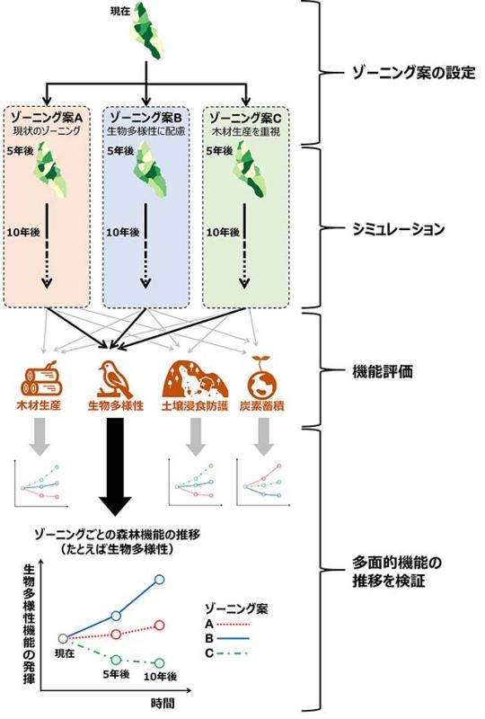 図：構築したモデルの概要
