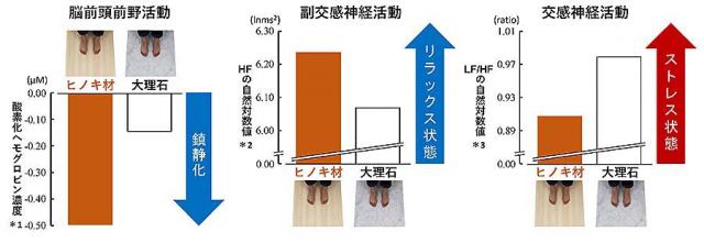 図1：木材への足裏接触が脳前頭前野活動、副交感神経活動、交感神経活動にもたらす効果