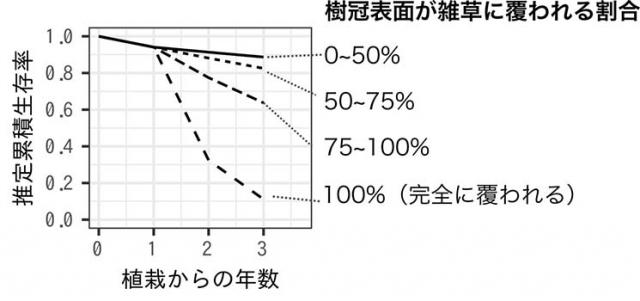 図1：統計モデルから推定したカラマツ植裁木の累積生存率の経年変化