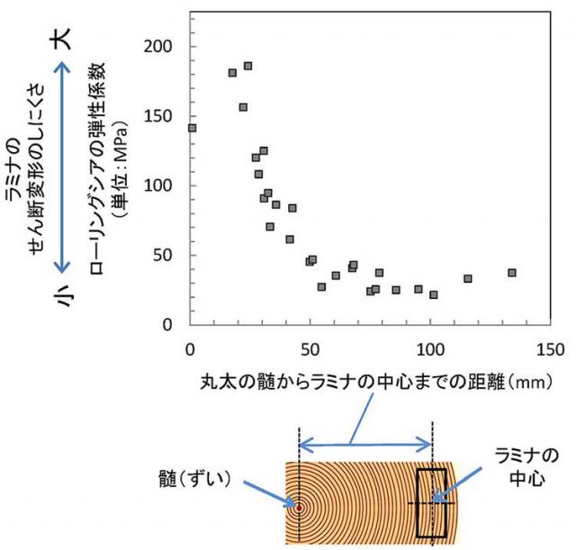 図3：ラミナの採材位置とローリングシアの弾性係数との関係