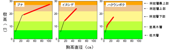 この図は胸高直径と樹高の関係を示しています
