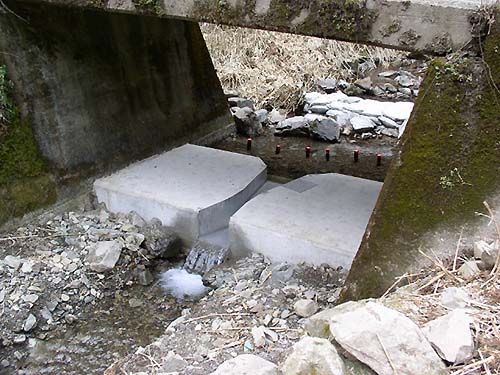 写真1：流量の観測設備
