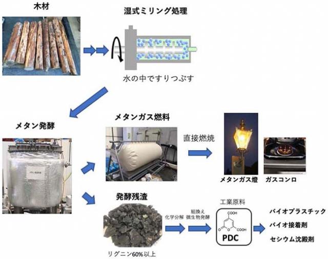 図1 木材を主原料としたメタン発酵は直接燃焼可能なメタンガス燃料と工業利用可能な発酵残渣を生成する